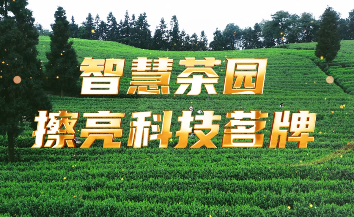 今年會(huì)jinnianhui智慧茶園，擦亮科技茗牌