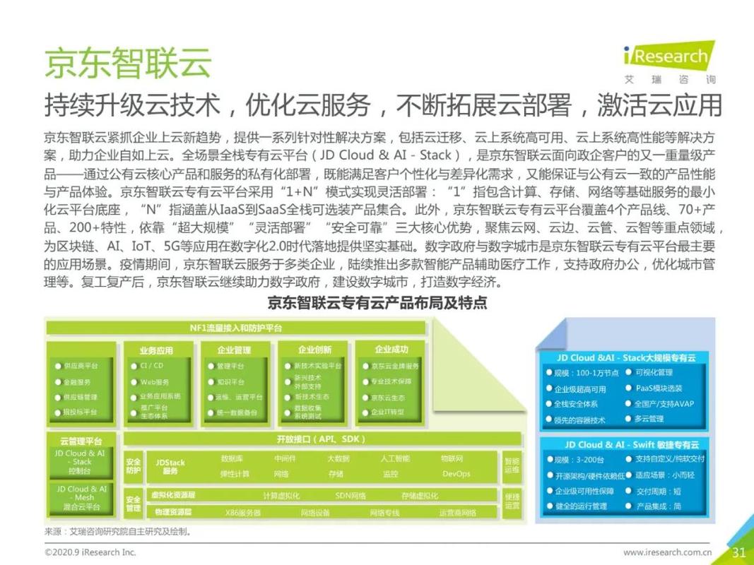 2020年中國基礎云服務行業發展洞察